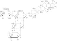 Saponin (Technical Grade)