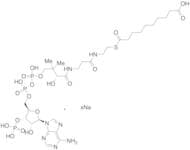 Sebacyl-CoA Sodium Salt