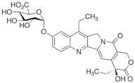 SN-38 Glucuronide