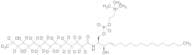 C16-Sphingomyelin-d13