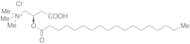 R-Stearoyl Carnitine Chloride