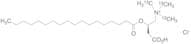 Stearoyl-L-carnitine-13C3 Chloride