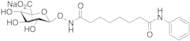 Suberoylanilide Hydroxamic Acid β-D-Glucuronide Sodium Salt