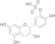 3'-O-Sulfate-Epicatechin Ammonium Salt