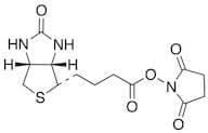 Biotin NHS