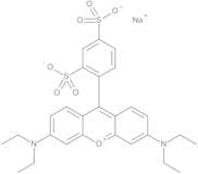 Sulforhodamine B Sodium Salt