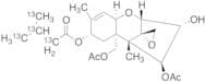 T-2 Toxin-13C4