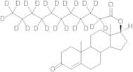 Testosterone Undecanoate-d21