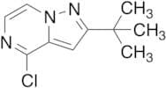 2-tert-Butyl-4-chloropyrazolo[1,5-a]pyrazine