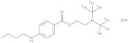 Tetracaine-d6 Hydrochloride (N,N-dimethyl-d6)