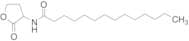 N-Tetradecanoyl-DL-Homoserine Lactone