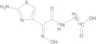 Thiazolylacetylglycine Oxime- 13C2,15N