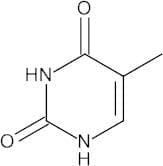 Thymine