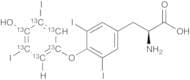 Thyroxine-13C6