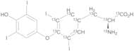 Thyroxine Carboxy,α,β,1,2,3,4,5,6-13C9,15N