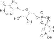 6-Thioinosine 5'-Triphosphate