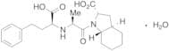 Trandolaprilat Monohydrate