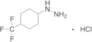 [4-(Trifluoromethyl)cyclohexyl]hydrazine Hydrochloride
