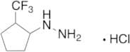 [2-(Trifluoromethyl)cyclopentyl]hydrazine Hydrochloride
