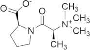 N,N,N Trimethyl-l-alanyl-l-proline Betaine