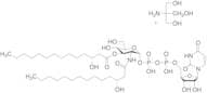UDP-3-O-[R-3-Hydroxymyristoyl]-N-[R-3-hydroxymyristoyl] Glucosamine Tris Salt