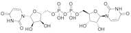 Uridine 5'-(trihydrogen pyrophosphate), 5'→5'-ester with Uridine