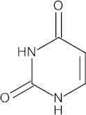 Uracil
