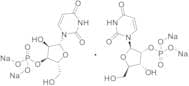 Uridine Monophosphate Disodium Salt (2’- and 3’- mixture)
