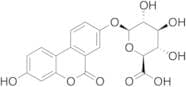 Urolithin A Glucuronide