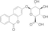 Urolithin B Glucuronide