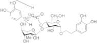 Verbascoside-13C3