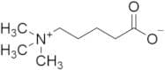 δ-​Valerobetaine