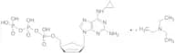 Abacavir Triphosphate TEA Salt