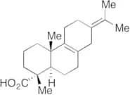 8,13(15)-Abietadienoic Acid