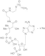Acetyl-1,2-13C2 Coenzyme A Sodium Salt (~2% Unlabelled)