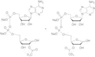 2'/3'-O-Acetyl ADP Ribose-d3 (A mixture of 2'/3'-O-Acetyl ADP Ribose-d3)