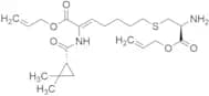 Allyloxy-2-amino-3-oxopropyl)thio Cilastatin Derivative