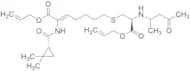 Allyloxy-3-oxo-2-((4-oxopentan-2-yl)amino)propyl)thio Cilastatin Derivative