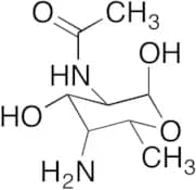 2-(acetylamino)-4-amino-2,4,6-trideoxy-α-D-Galactopyranose