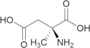 (S)-2-Amino-2-methylsuccinic Acid