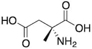 (R)-2-Amino-2-methylsuccinic Acid