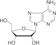 Adenosine