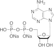 Adenosine 5'-Diphosphate Disodium Salt