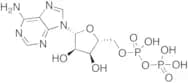 Adenosine 5'-Diphosphate