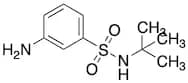 3-Amino-N-(Tertbutylbenzenesulfonamide
