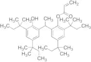 3-Amino-6-bromo-4-(2-pyridinyl)-2(1H)-quinolinone-d4