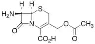 7-Aminocephalosporanic Acid