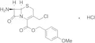 7-Amino-3 chloromethyl-3-cephem-4-carboxylic Acid p-Methoxybenzyl Ester Hydrochloride