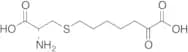 7-[[(2R)-2-Amino-2-carboxyethyl]thio]-2-oxo-heptanoic Acid