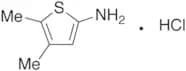 2-Amino-4,5-dimethylthiophene Hydrochloride